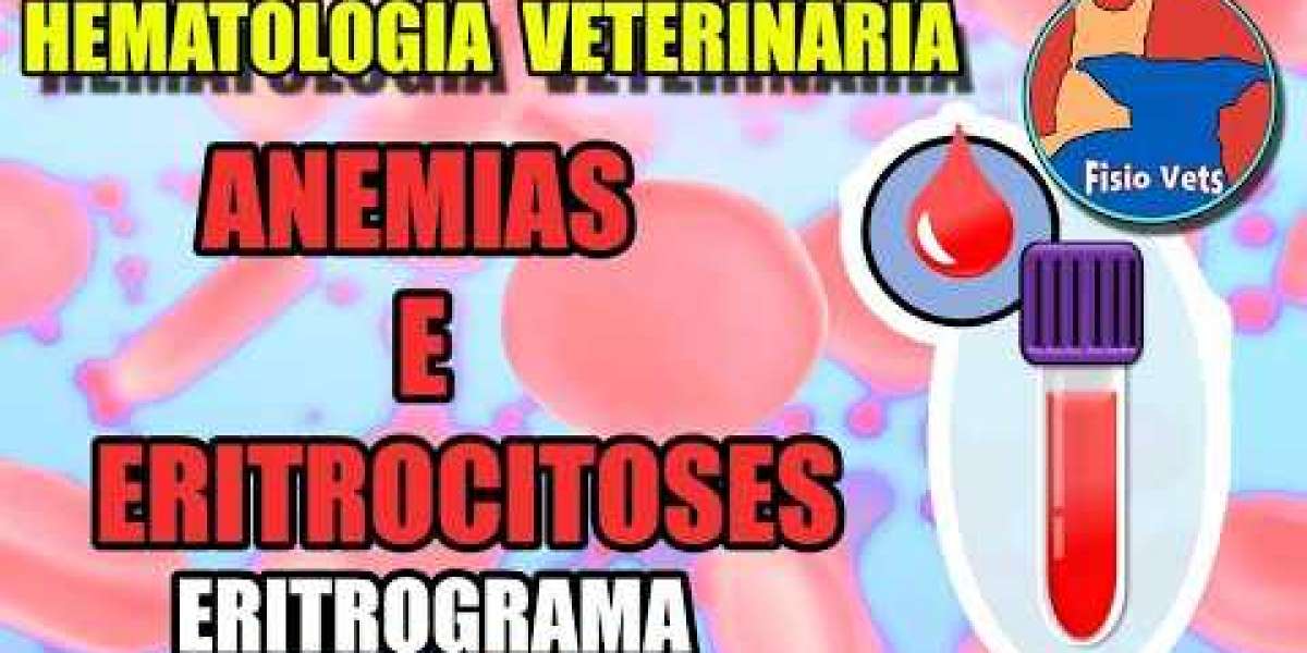 Prevención y tratamiento del ataque al hígado en perros: Guía completa