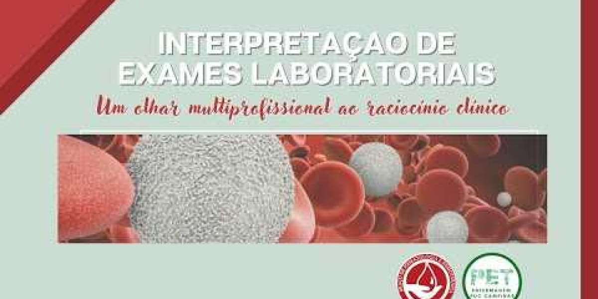 Cuida el hígado de tu perro: prevención y tratamiento