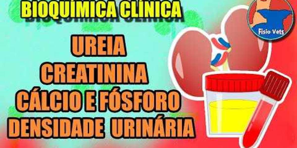 Todo lo que debes saber sobre la ALKP alta en perros: causas, diagnóstico y tratamiento