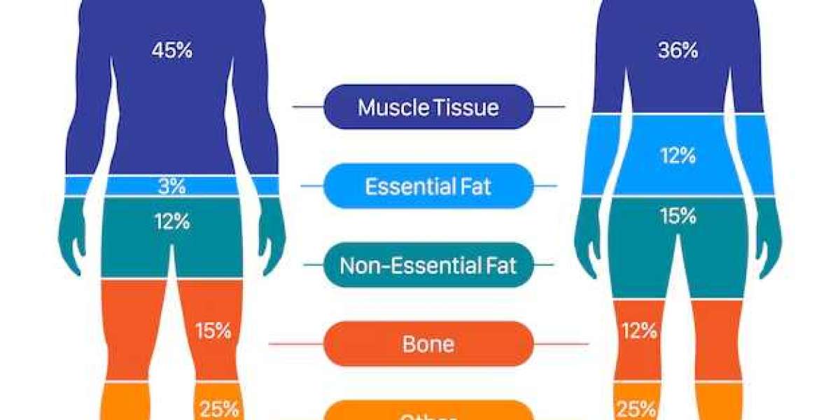 Forget BMI Body composition scans are a better measure of your health : Shots Health News : NPR