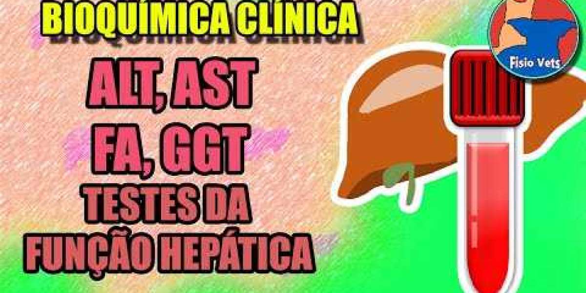 Impactos do Cortisol Elevado em Pets: O Que Você Precisa Saber