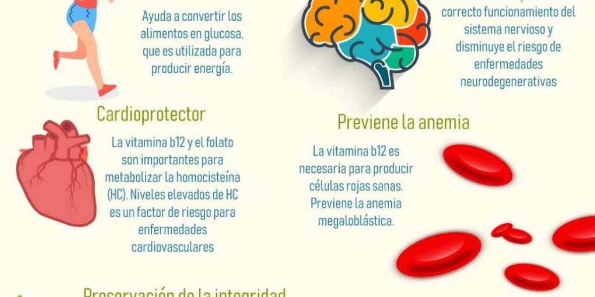 ¿Tengo que tomar B12 si soy vegetariano y como huevos?