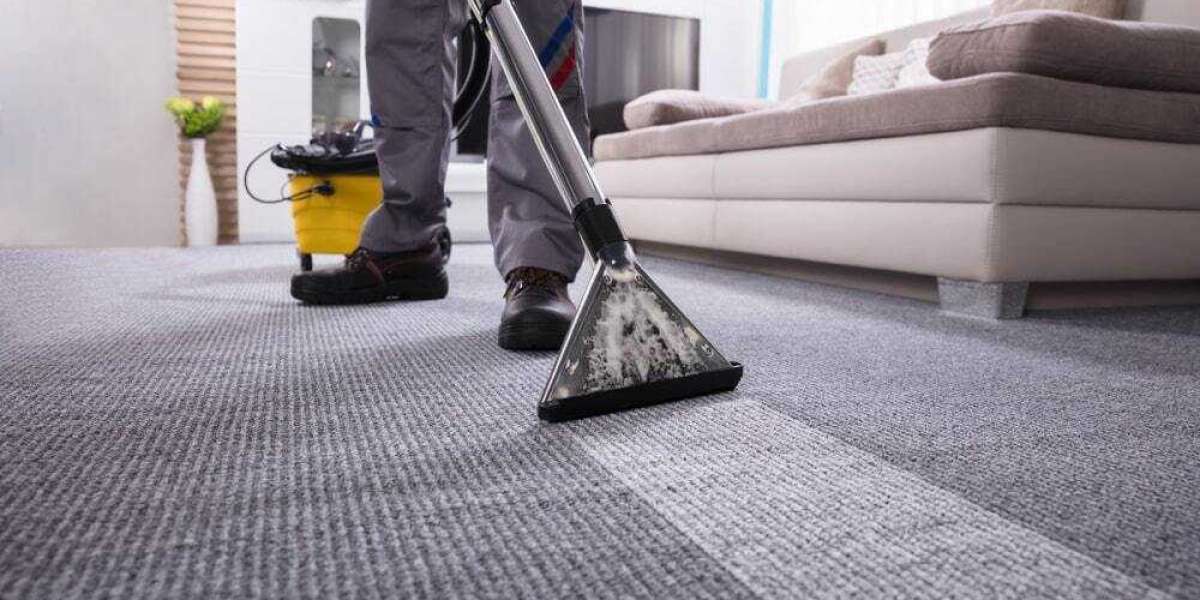 How Professional Carpet Cleaning Boosts Home Coziness