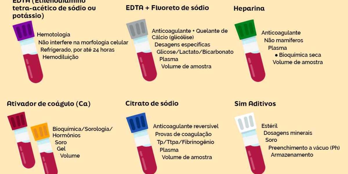 Understanding Blood Tests for Dogs Gaithersburg Vets