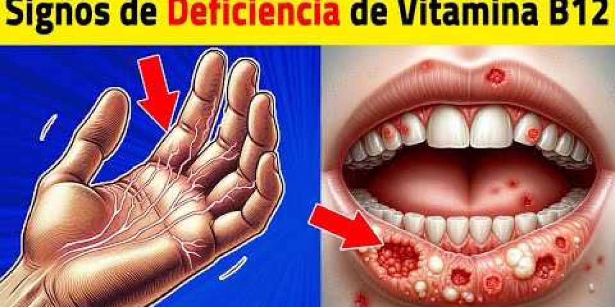 Vitamina B12: Para Que Serve, Alimentos Ricos e Entenda Falta