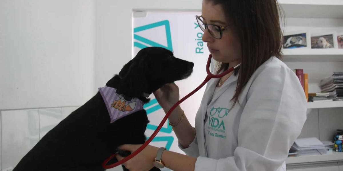 Veterinario urgencias 24 horas en Sevilla Vitalcan Centro Veterinario