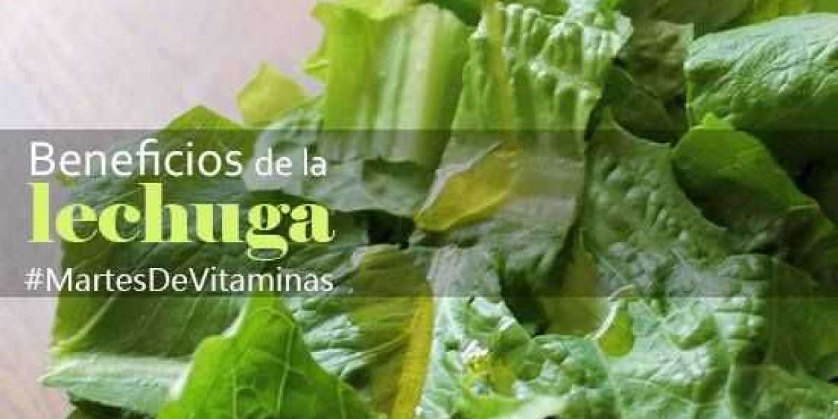 Comparativa de marcas de gelatina: ¿cuál tiene mayor contenido de proteínas?