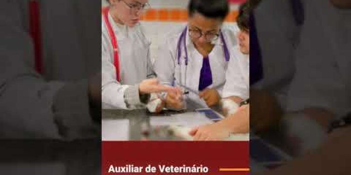 Rayos X digitales Equipo de rayos X portátil para veterinarios