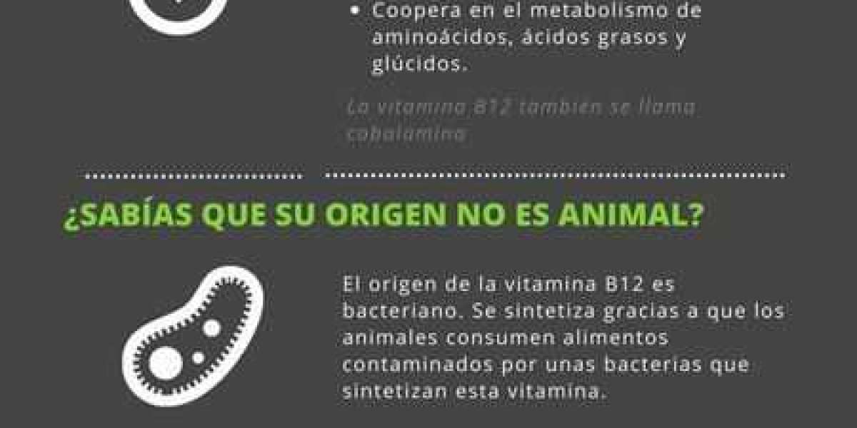 ¿Dónde puedo colocar una planta de ruda en casa?