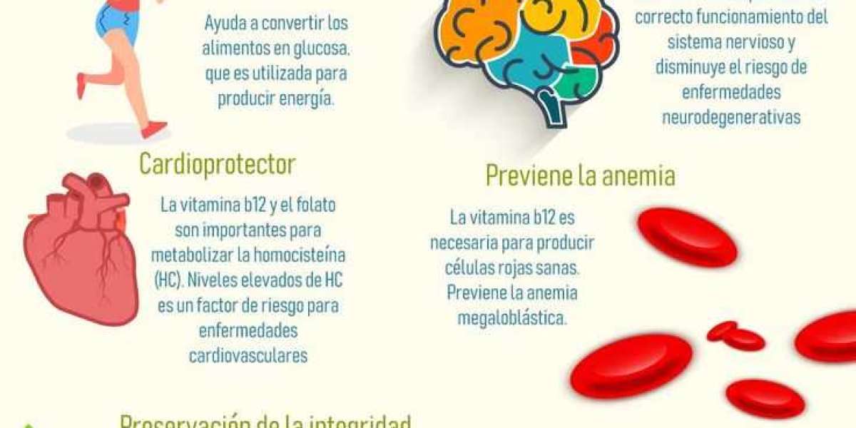 Miel de romero propiedades y contraindicaciones Bienestarvalencia com Cuida tu salud