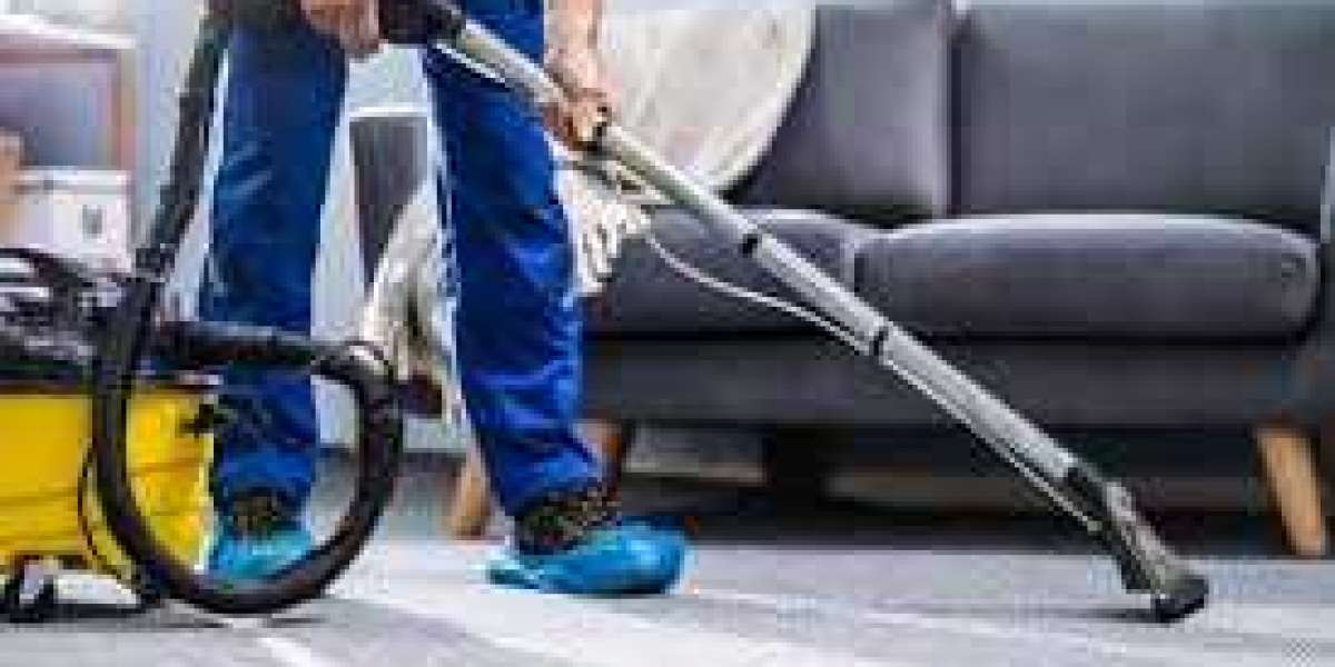 Boost Air Quality and Comfort with Expert Carpet Cleaning