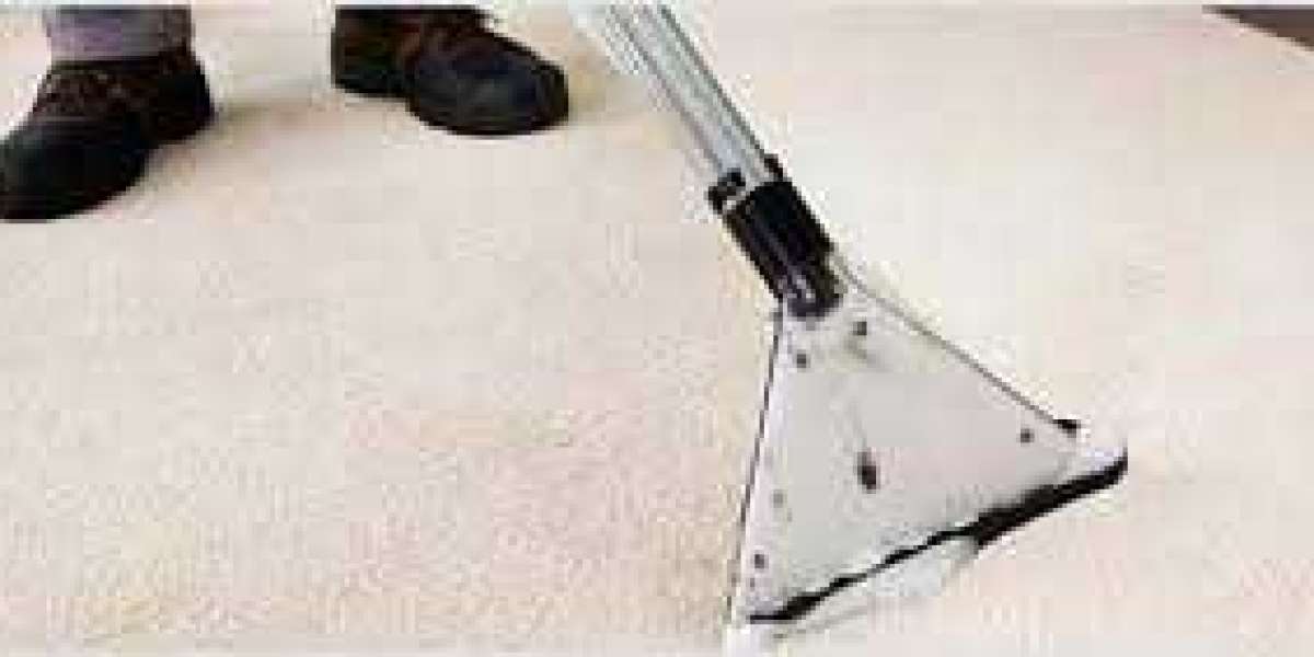 Professional Carpet Cleaning: The Ultimate Hygiene Solution for Homes