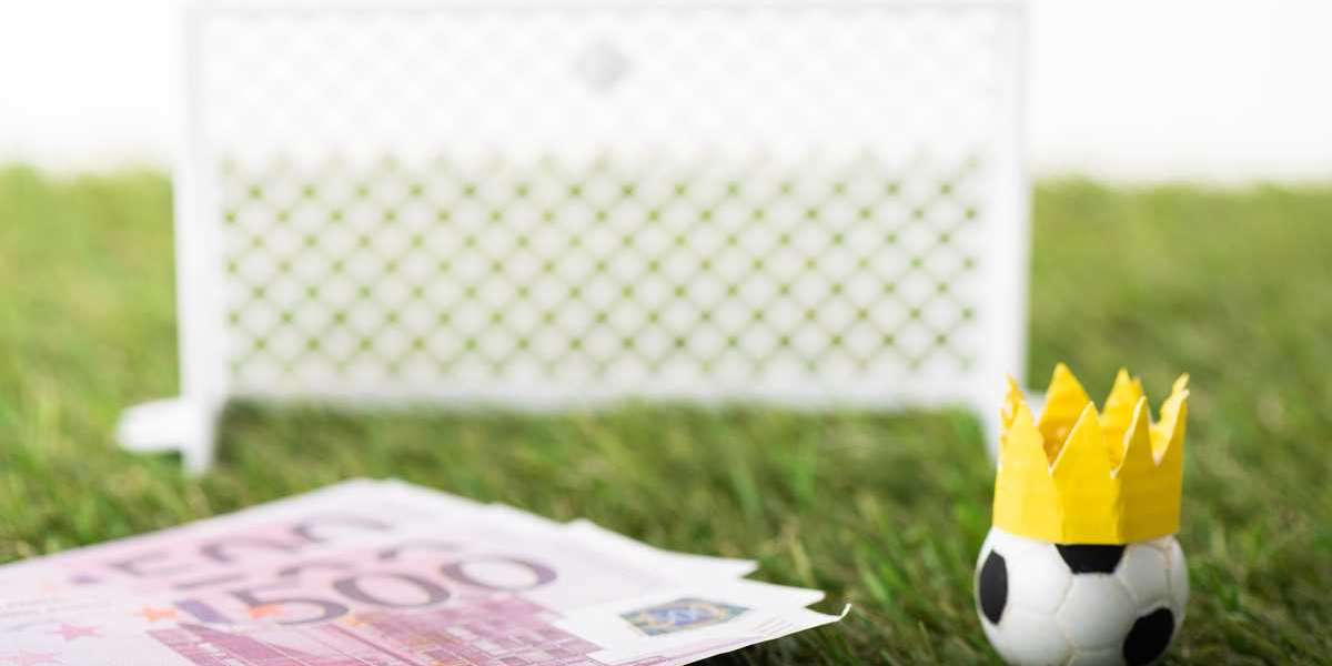 The Thrilling World of Online Sports Betting: What You Want to Know