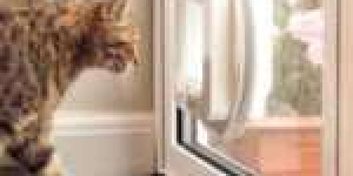 The Cat Door Installation Awards: The Most Sexiest, Worst, And Strangest Things We've Ever Seen